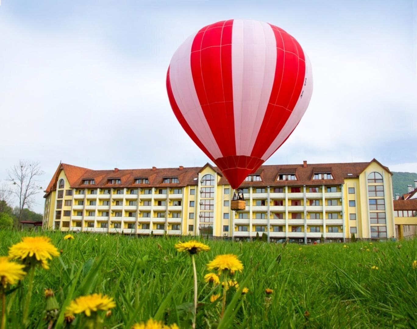 Вид Квітка Полонини санаторий